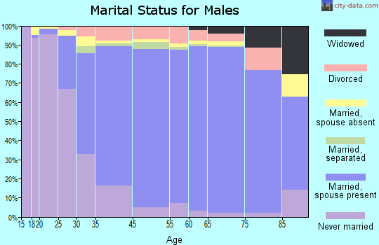 West Springfield marital status for males
