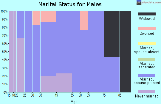 Weyers Cave marital status for males