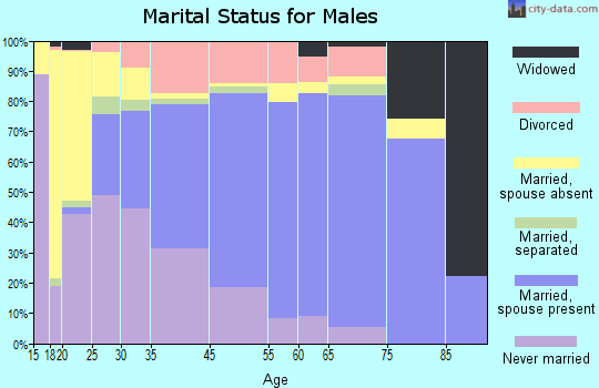 Williamsburg marital status for males