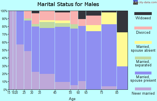 Wytheville marital status for males