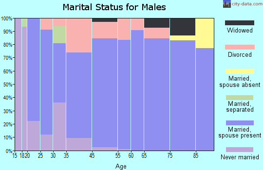 Allyn-Grapeview marital status for males
