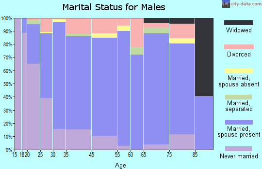 Arlington marital status for males