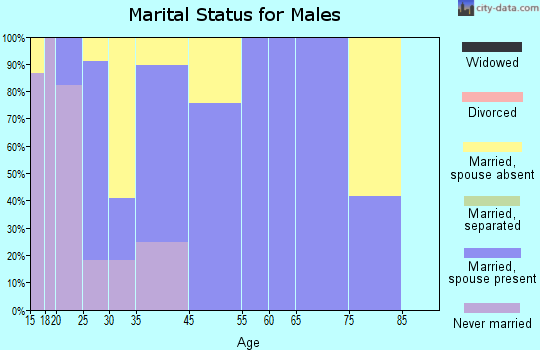 Basin City marital status for males