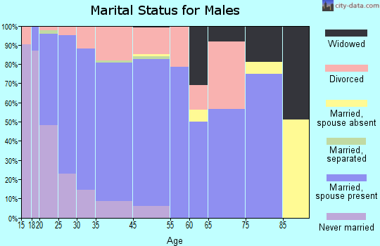Battle Ground marital status for males