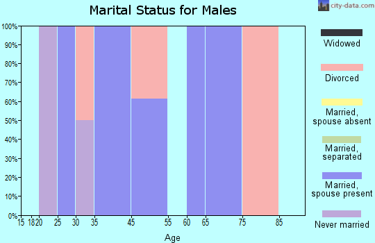 Bay Center marital status for males