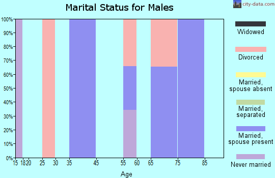 Bay View marital status for males