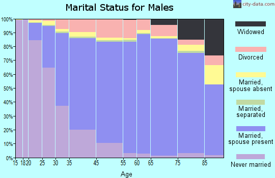 Bellevue marital status for males