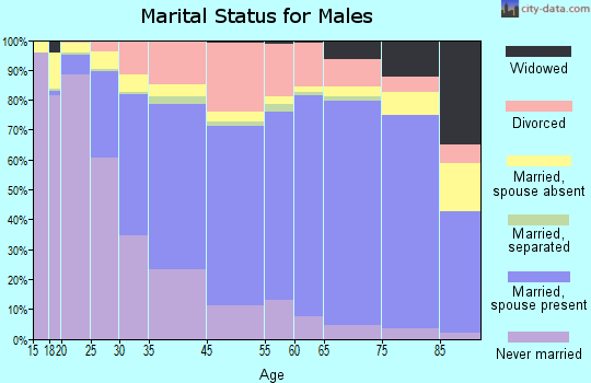 Bellingham marital status for males