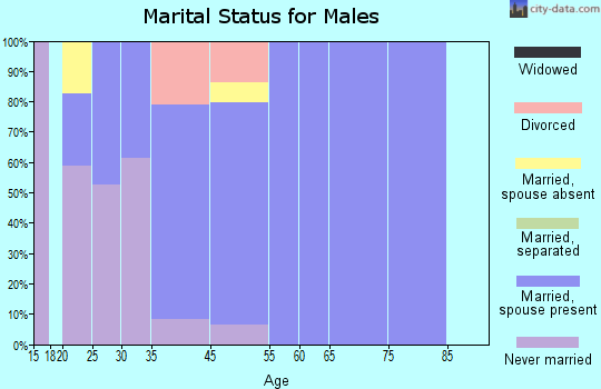 Big Lake marital status for males