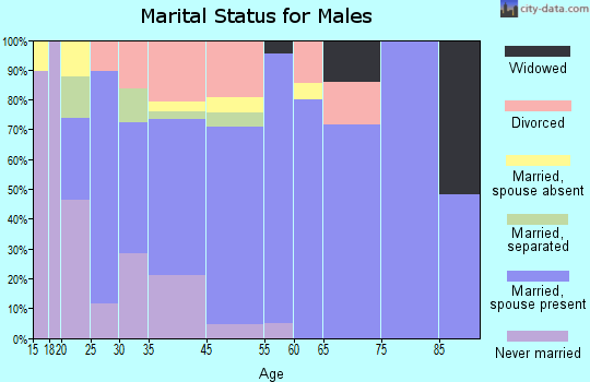 Birch Bay marital status for males