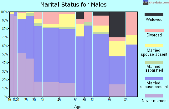 Brewster marital status for males
