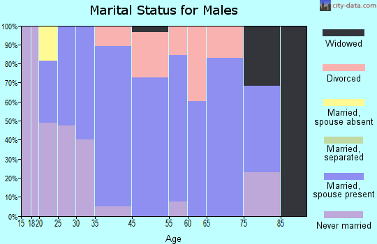 Brush Prairie marital status for males