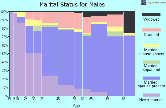 Bryn Mawr-Skyway marital status for males