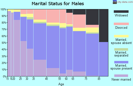 Burien marital status for males