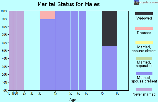 Cherry Grove marital status for males