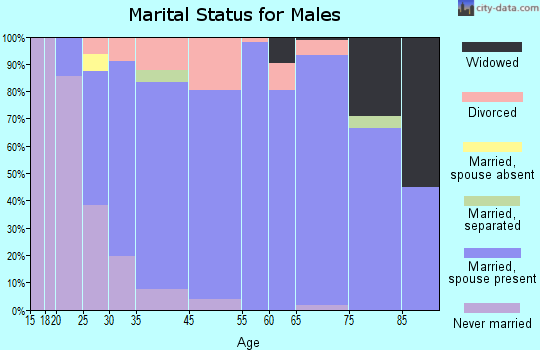 Clarkston Heights-Vineland marital status for males