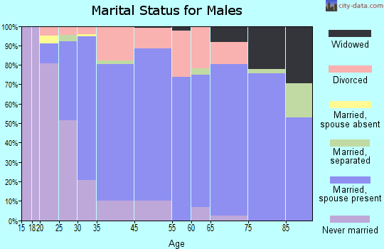Irondale marital status for males