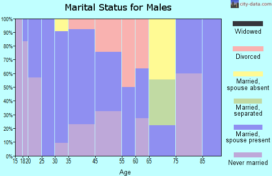 Point Arena marital status for males
