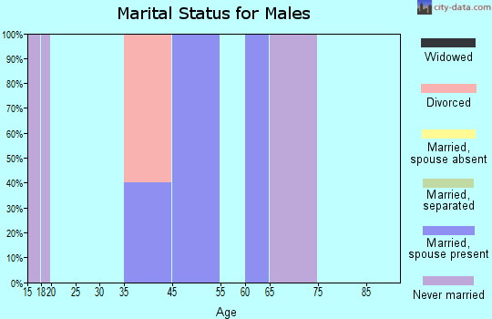 Custer marital status for males
