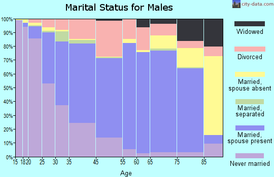Des Moines marital status for males