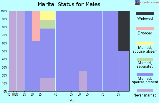 Dixie marital status for males