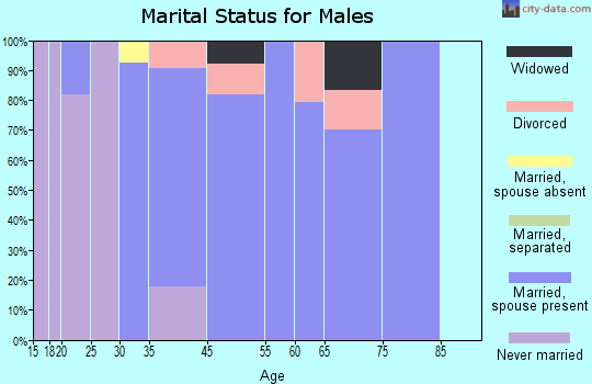 Dollar Corner marital status for males