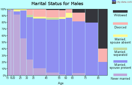 East Renton Highlands marital status for males
