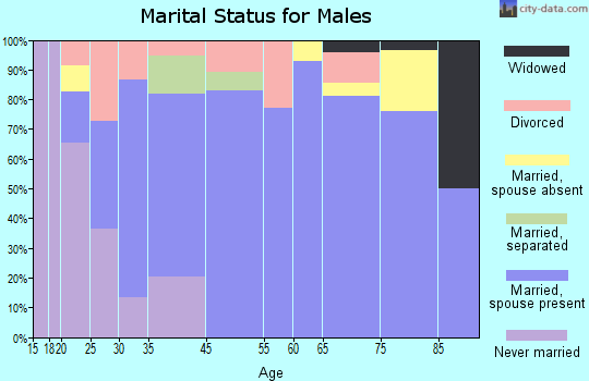 Electric City marital status for males