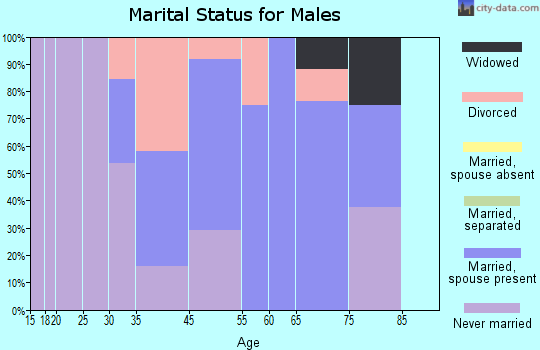 Elmer City marital status for males