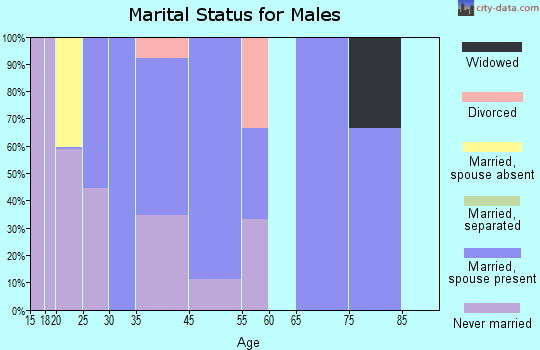 Endicott marital status for males