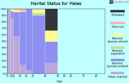 Fairchild AFB marital status for males