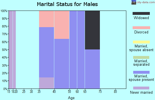 Farmington marital status for males