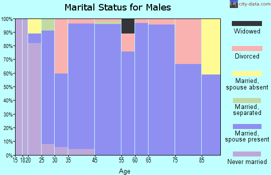 Hockinson marital status for males