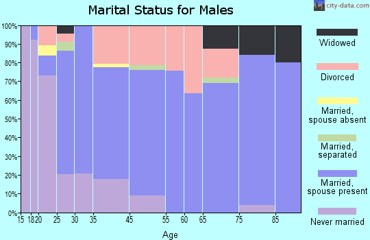 Kettle Falls marital status for males