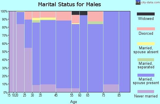 Lake Morton-Berrydale marital status for males