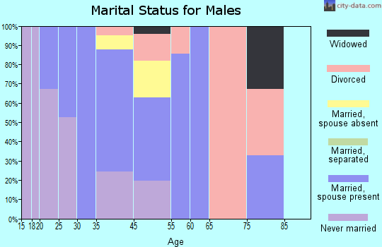 Quail Valley marital status for males