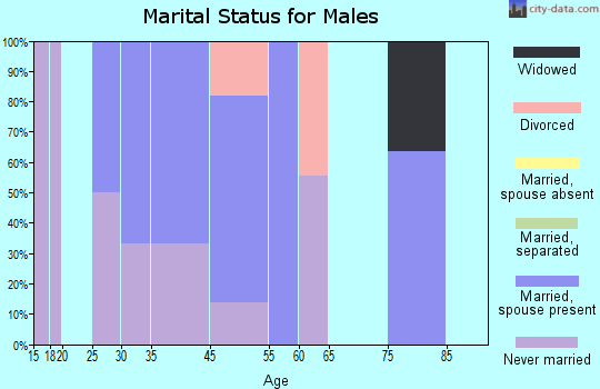 Lebam marital status for males