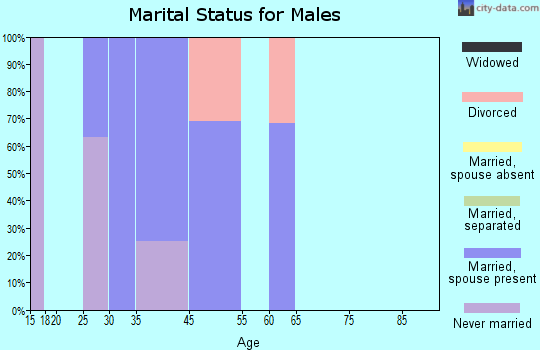Maple Falls marital status for males