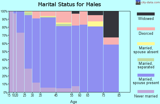 Maple Valley marital status for males