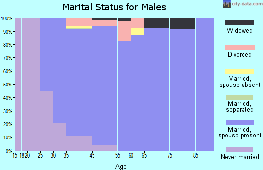 Medina marital status for males