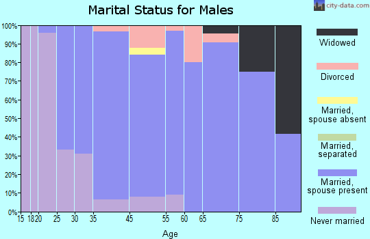 Mirrormont marital status for males