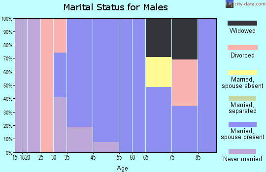 Ravensdale marital status for males