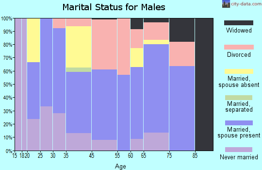 Republic marital status for males