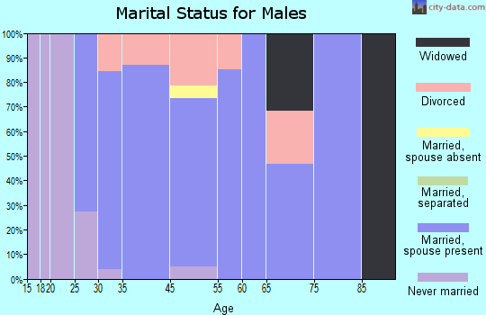 Rochester marital status for males