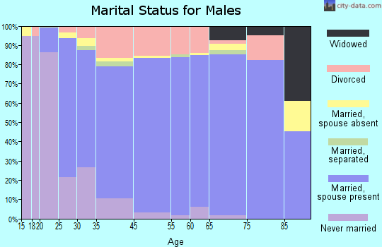 Salmon Creek marital status for males