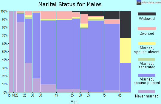 Seattle Hill-Silver Firs marital status for males