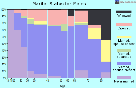 Sedro-Woolley marital status for males