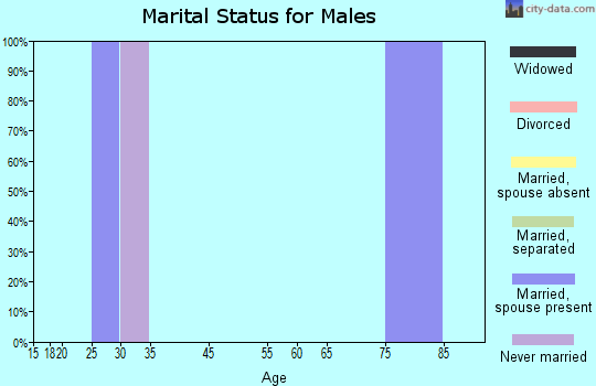 Silvana marital status for males