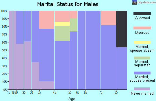 Smokey Point marital status for males