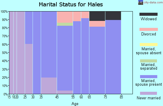 Sunnyslope marital status for males